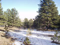 i remember racing down this.jpg